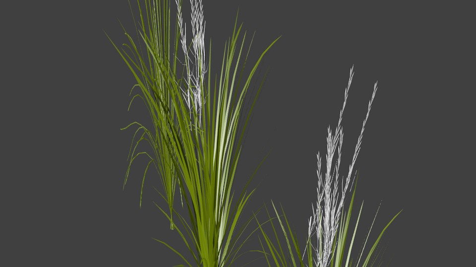 Rice Crop preview image 1